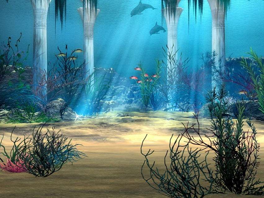 Podwodna scena w pięknej czystej wodzie puzzle online