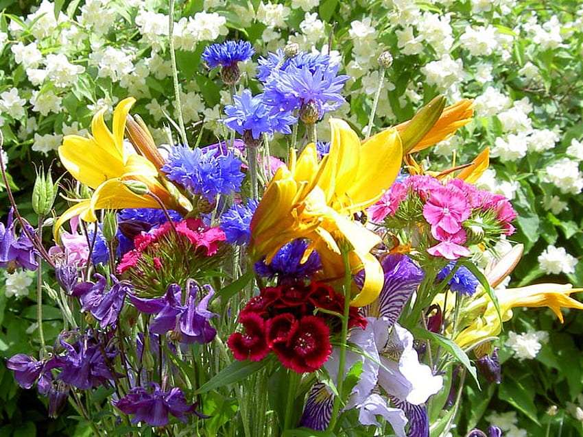 Wiosenne kolory tęczy w ogrodzie zachwycają mnie puzzle online