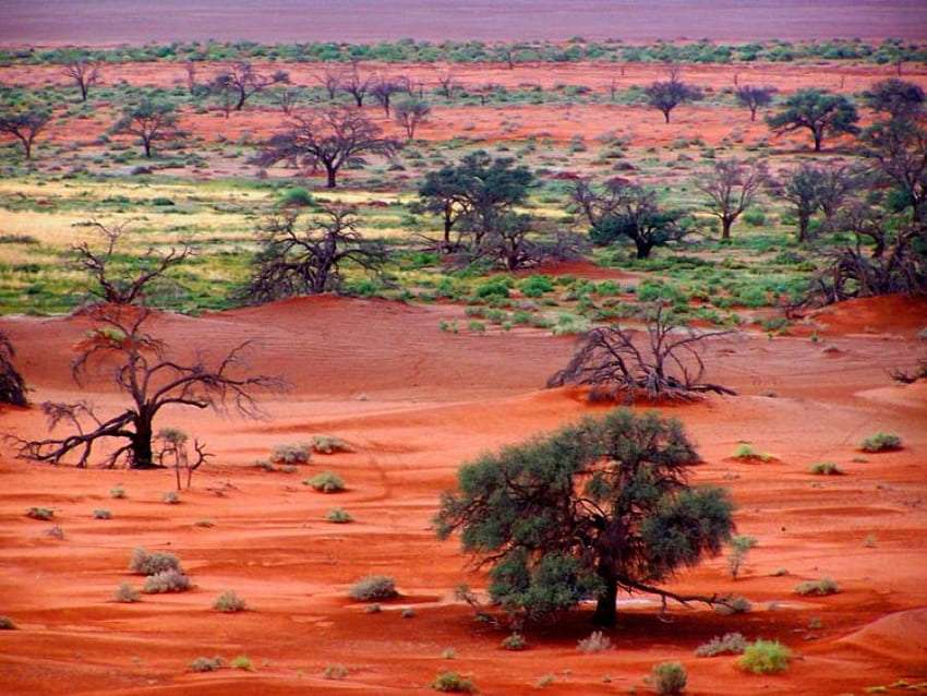 Pustynny krajobraz Kalahari, co za widok puzzle online