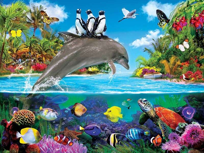 pokaz delfinów puzzle online