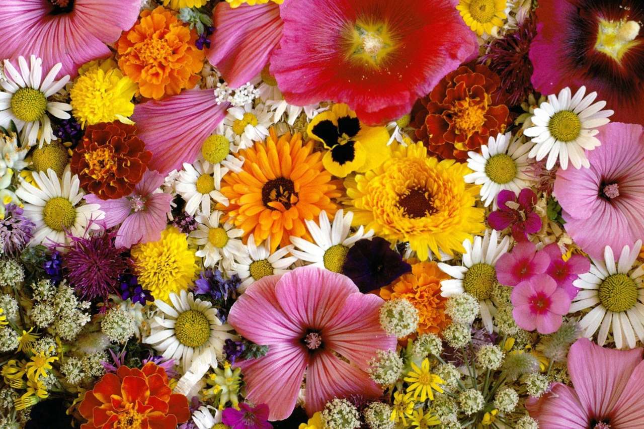 Prze-cudne kwiaty razem z naszych ogródków puzzle online
