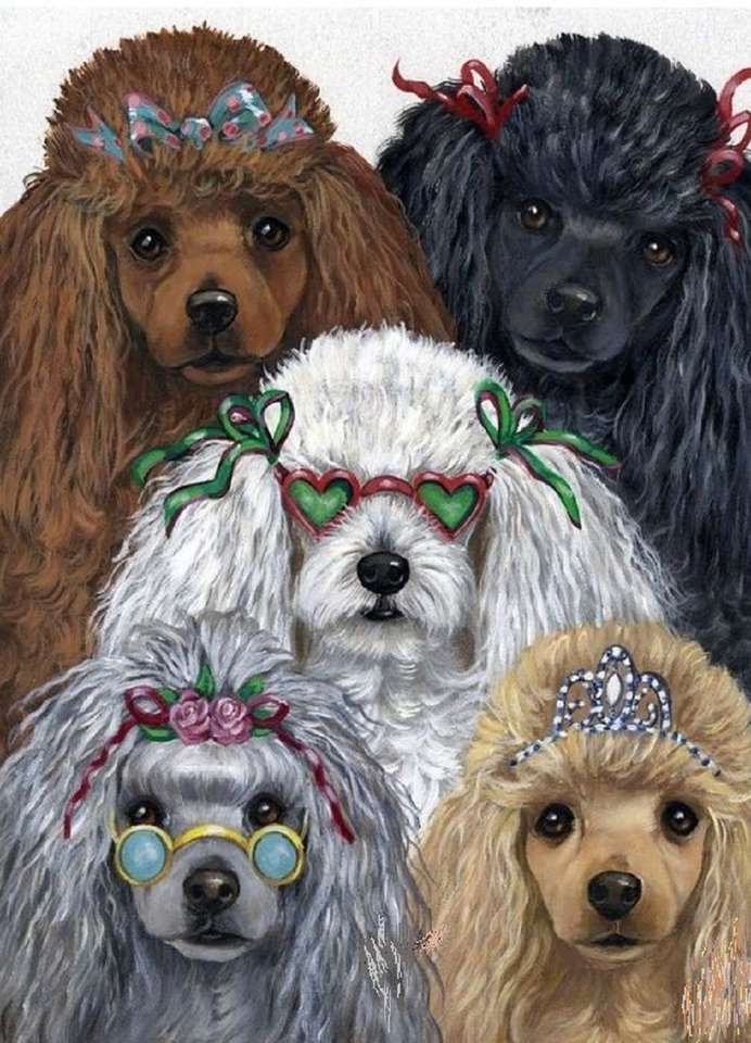 Pięć pięknych małych psów puzzle online