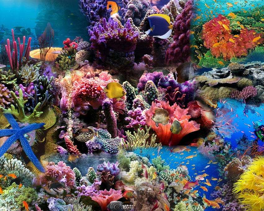 Podwodny krajobraz, kolorowy niczym ogród na ziemi puzzle online