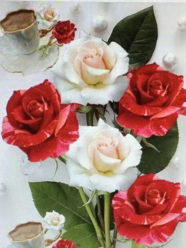 Czerwona i biała róża puzzle online