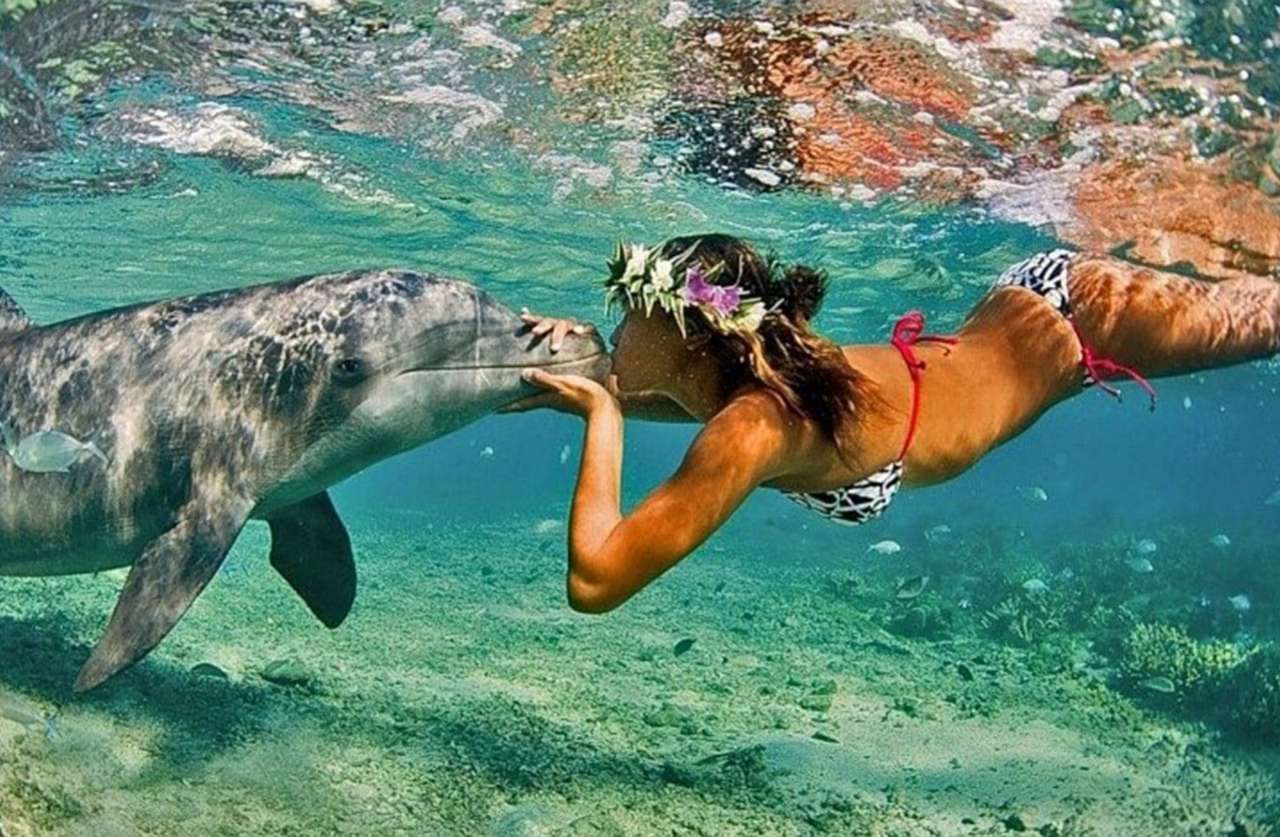 Een kus van een dolfijn, wat een uitzicht :) legpuzzel