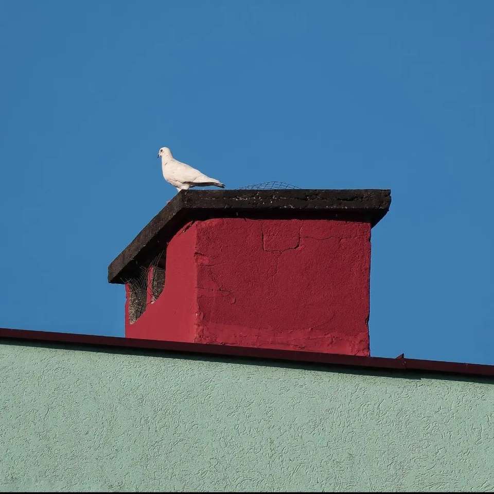 Bird on a chimney puzzle online