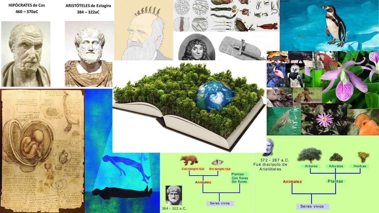 historia ekologii puzzle online