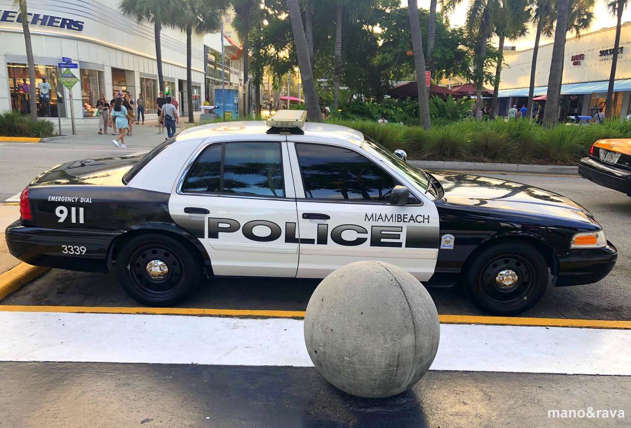 Policjanci w Miami:) puzzle online