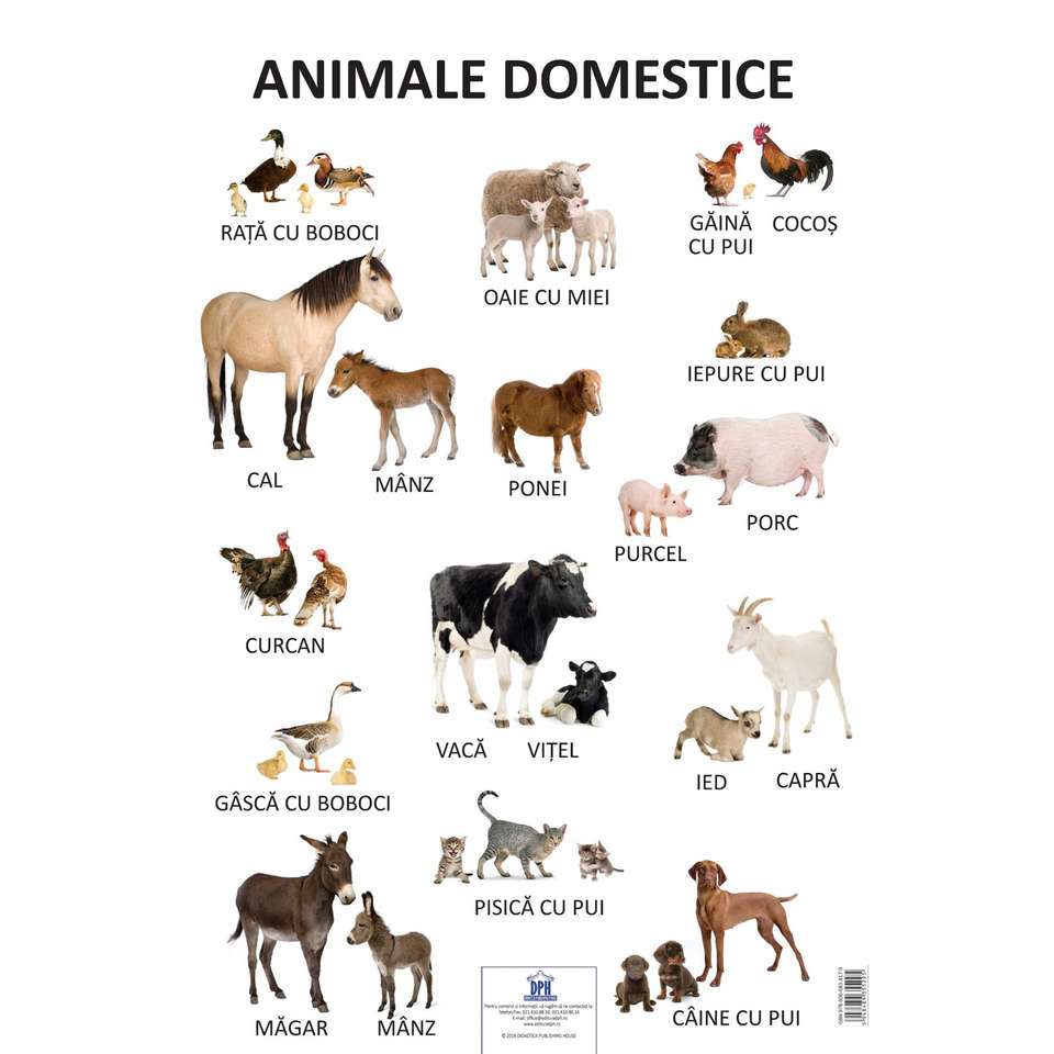 Zwierzęta domowe puzzle online