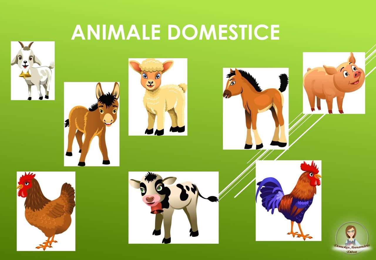 Zwierzęta z ludzkiego podwórka puzzle online