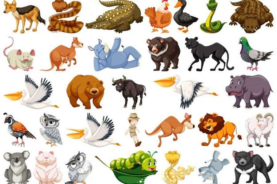 Wild animals puzzle online