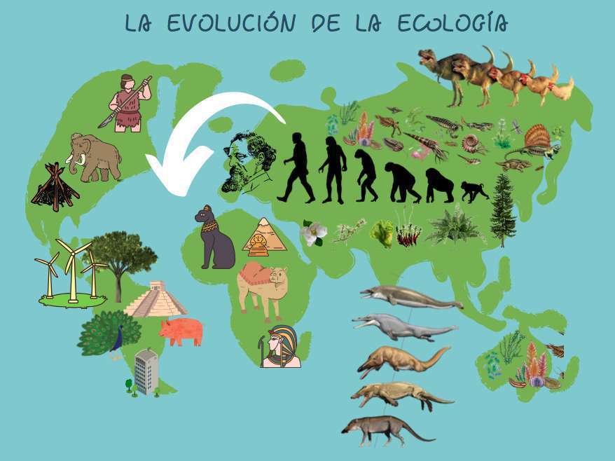 Ewolucja ekologii puzzle online
