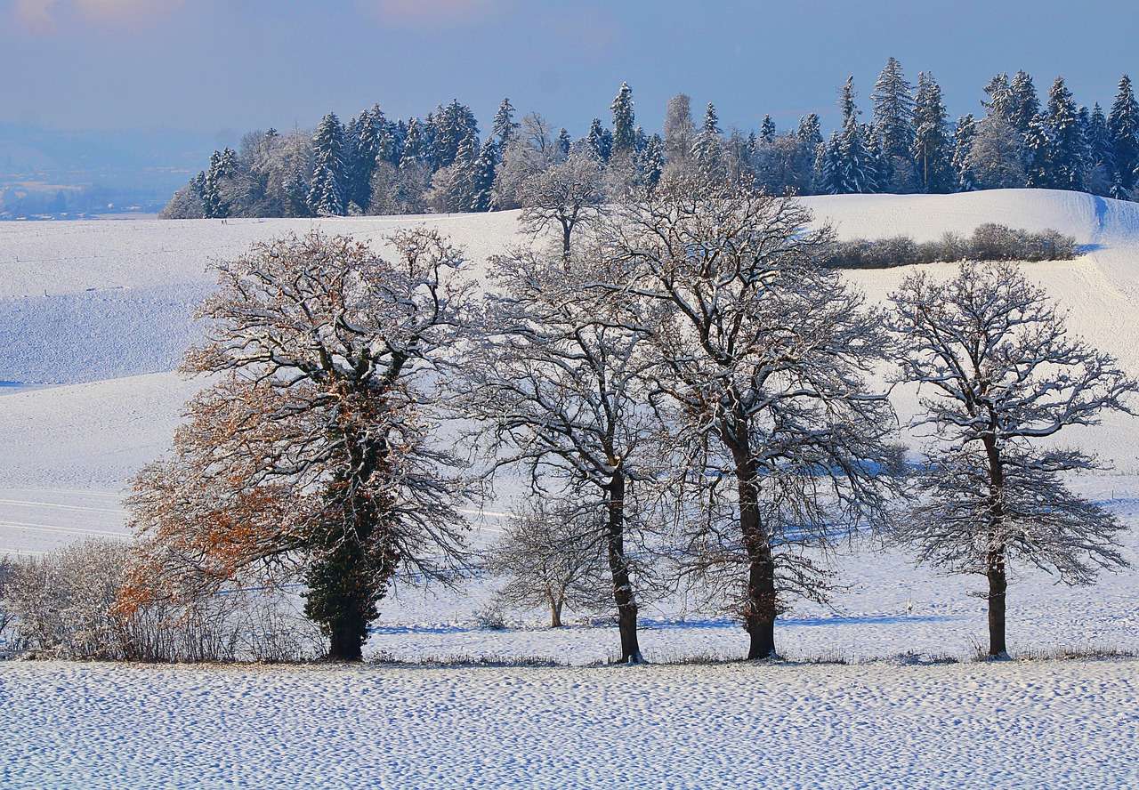 krajobraz zimowy puzzle online