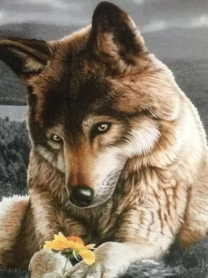 myślący brązowy wilk puzzle online