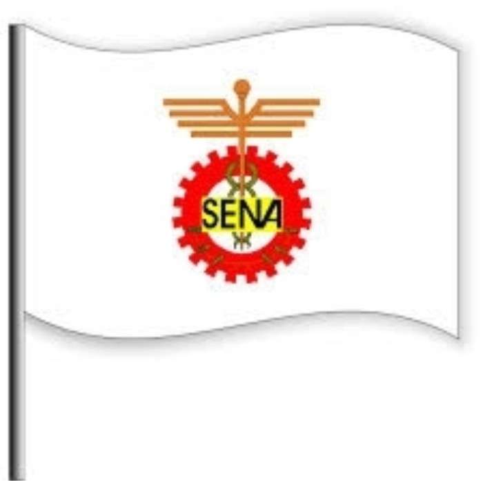 flaga Sekwany puzzle online