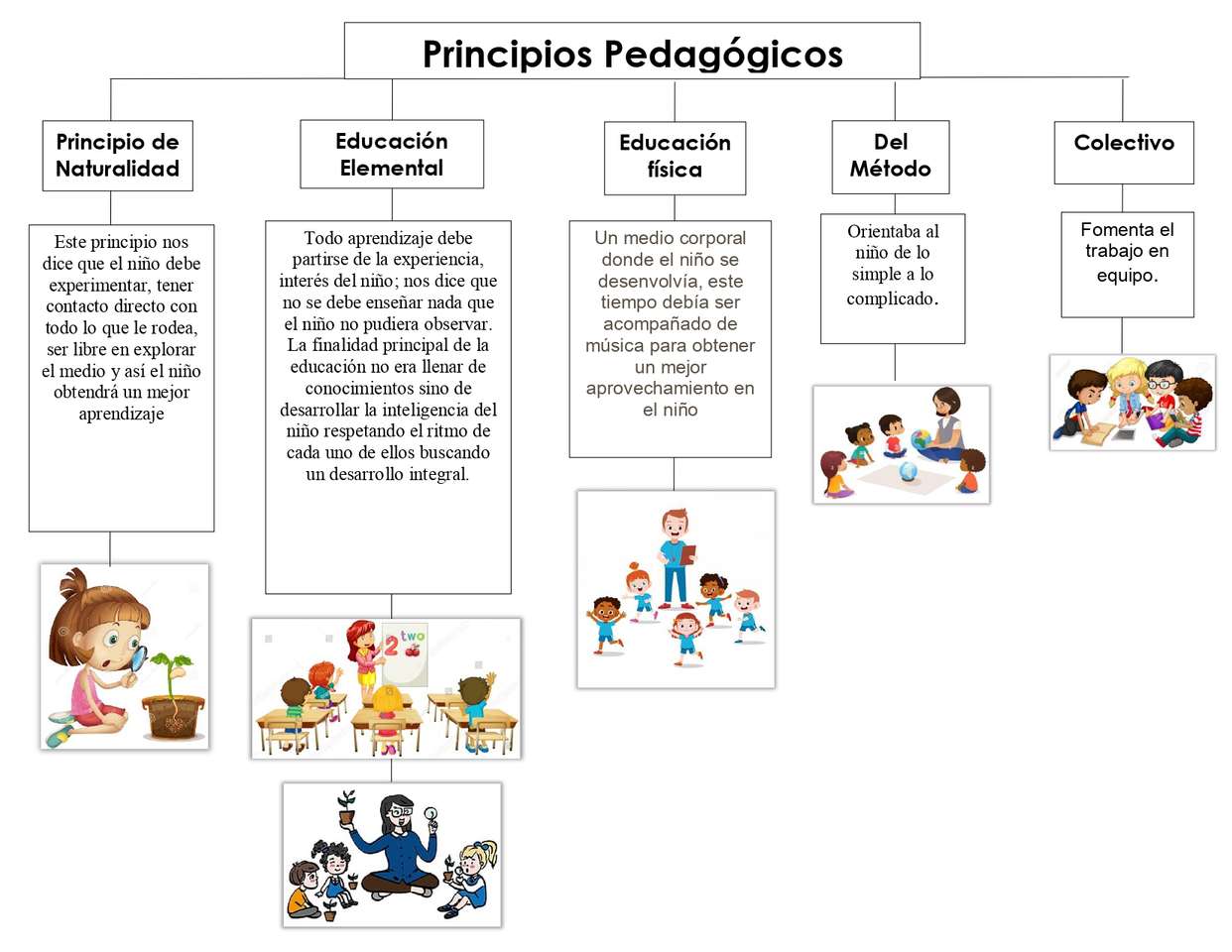 zasady pedagogiczne puzzle online
