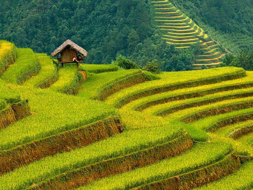 Majestatyczny widok-tarasy ryżowe prowincji Yunnan puzzle online