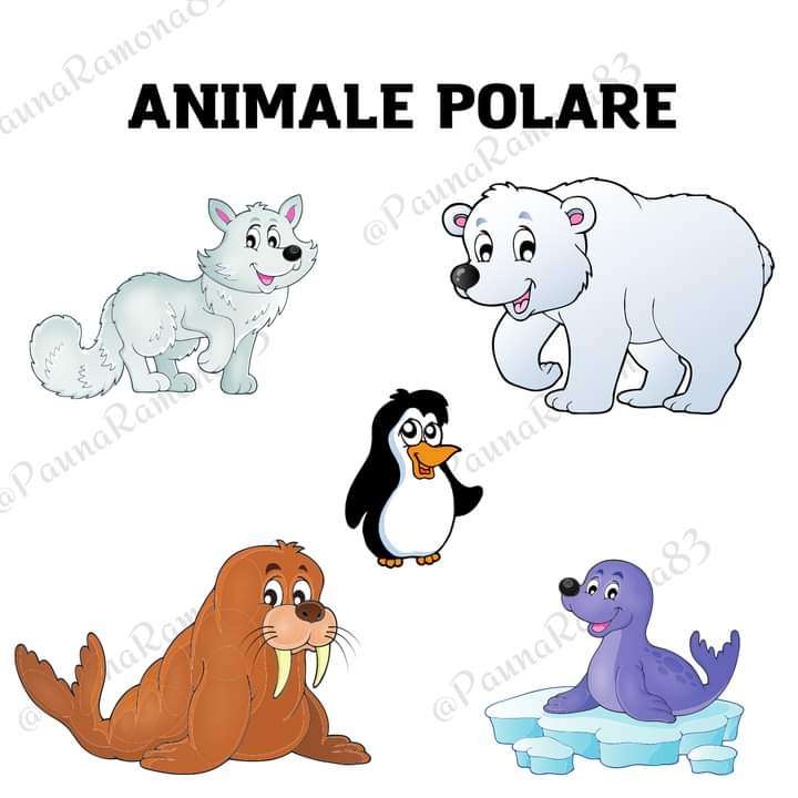 Zwierzęta polarne puzzle online