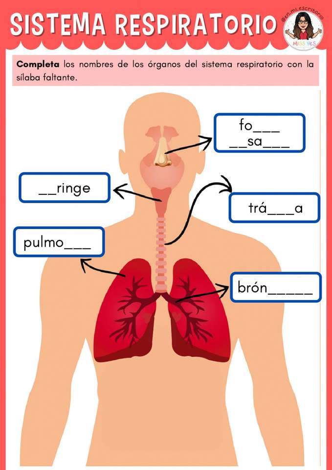 UKŁAD ODDECHOWY puzzle online