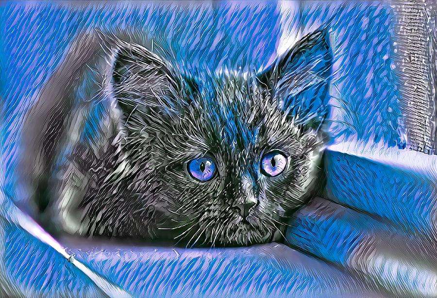 Mały kot w kolorze niebieskim puzzle online