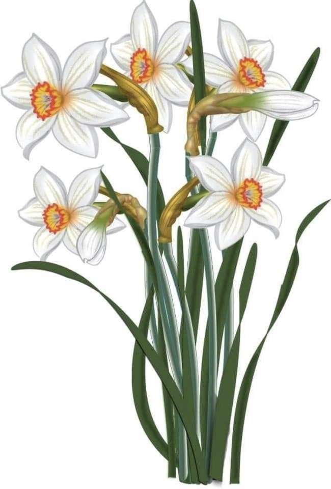 Kwiat na wiosnę puzzle online