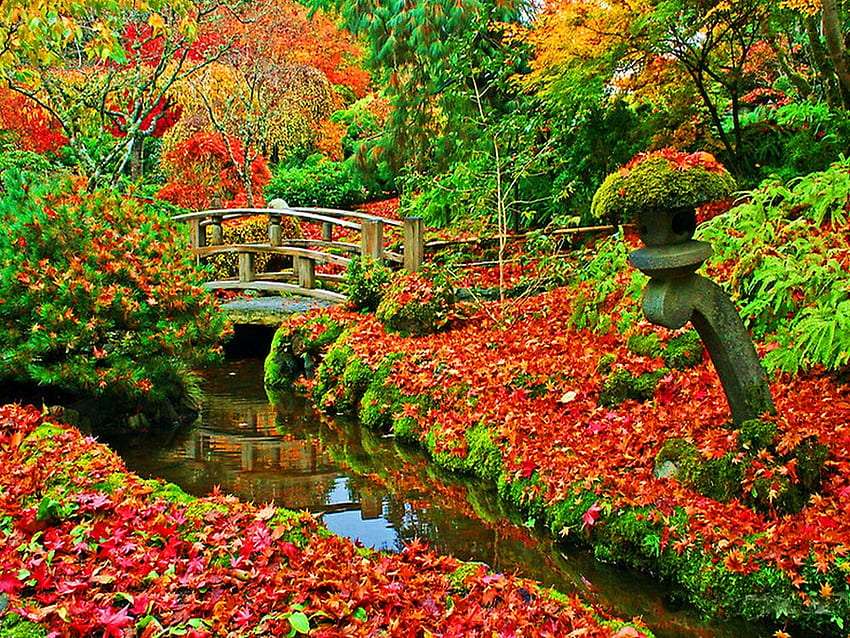 Prze-pięknie kolorowy jesienny las, cudo puzzle online