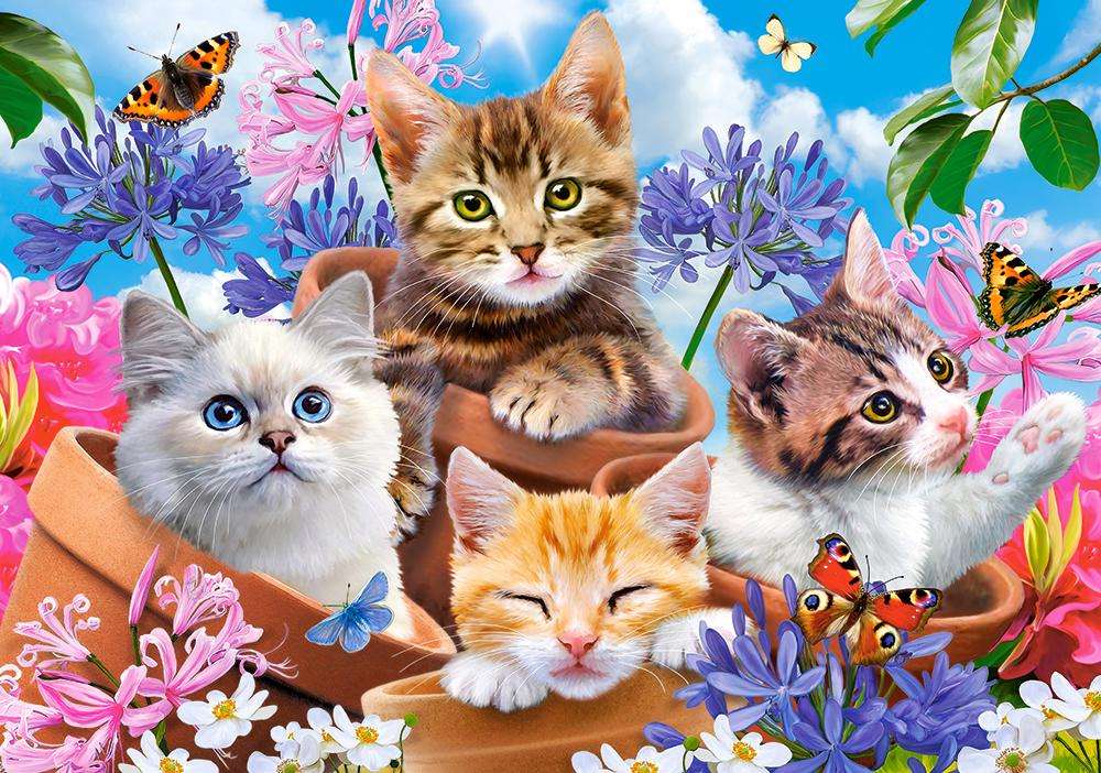 Cztery kotki w kwiatach puzzle online