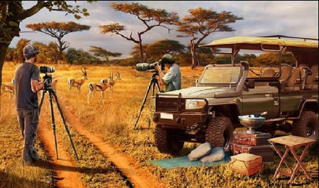 safari fotograficzne puzzle online
