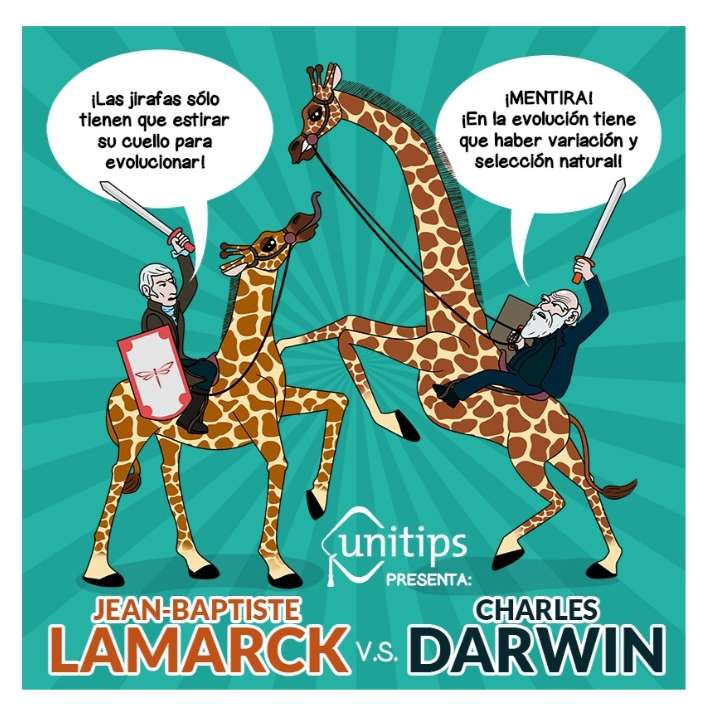 Lamarcka i Darwina puzzle online