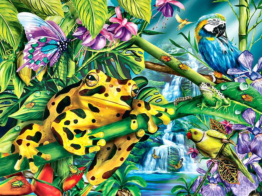 Przyjaciele deszczowego lasu, piękna żaba puzzle online