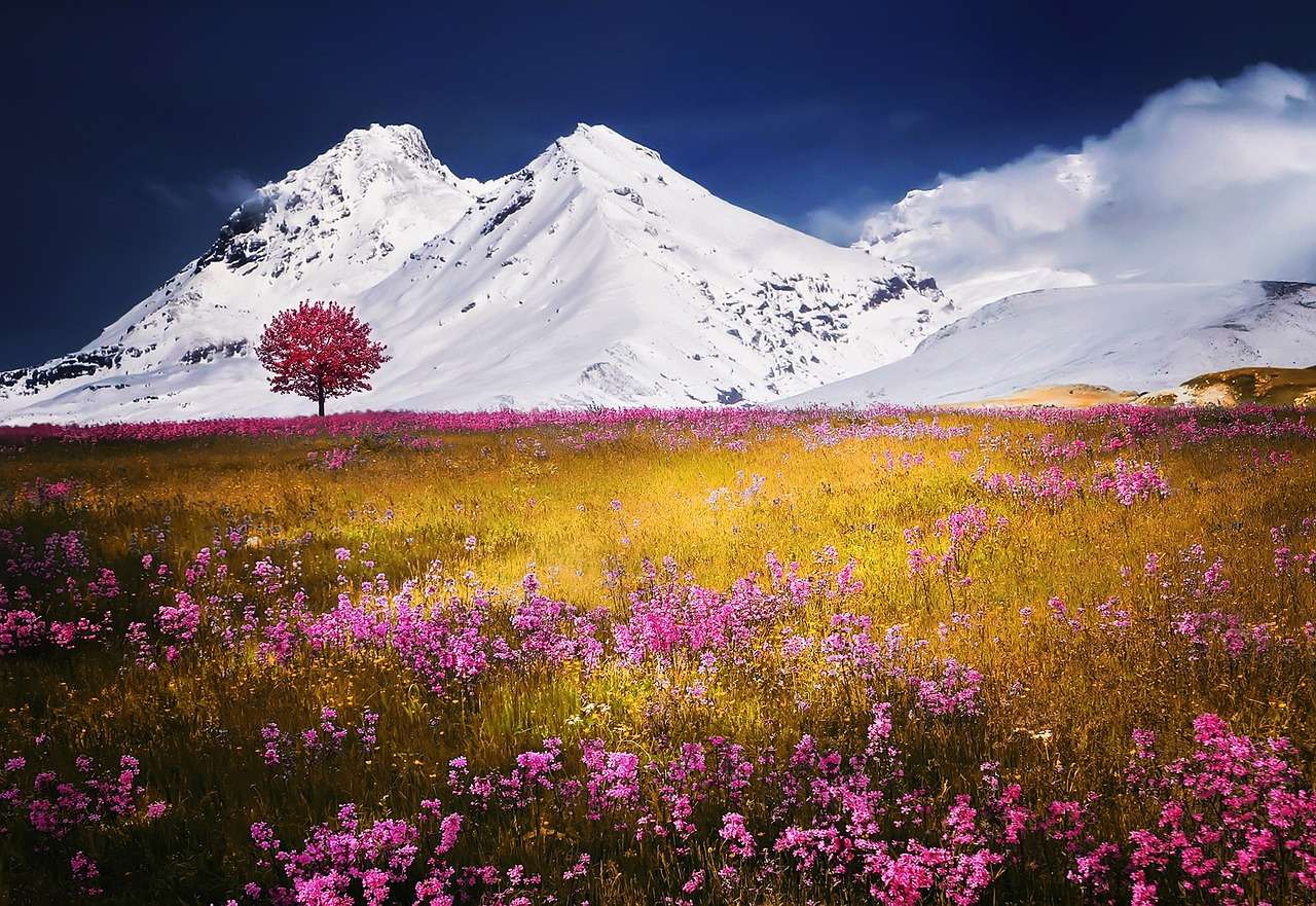 alpejska łąka puzzle online
