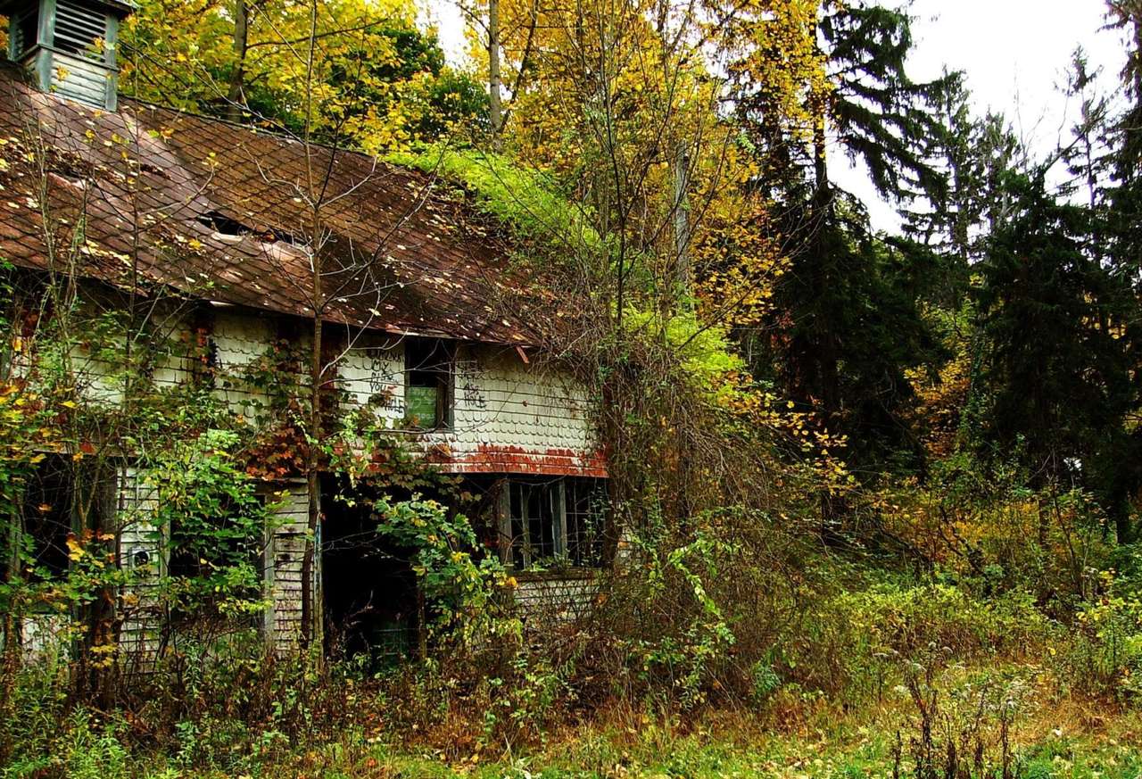 Ruiny opuszczonego domu w lesie puzzle online