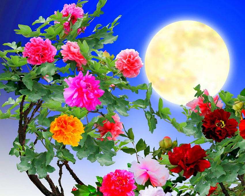 Piękne kwiaty i pełnia księżyca puzzle online