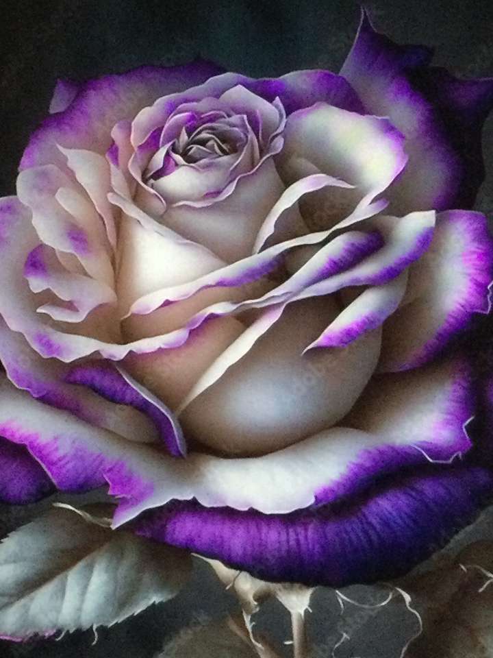 fioletowa róża puzzle online