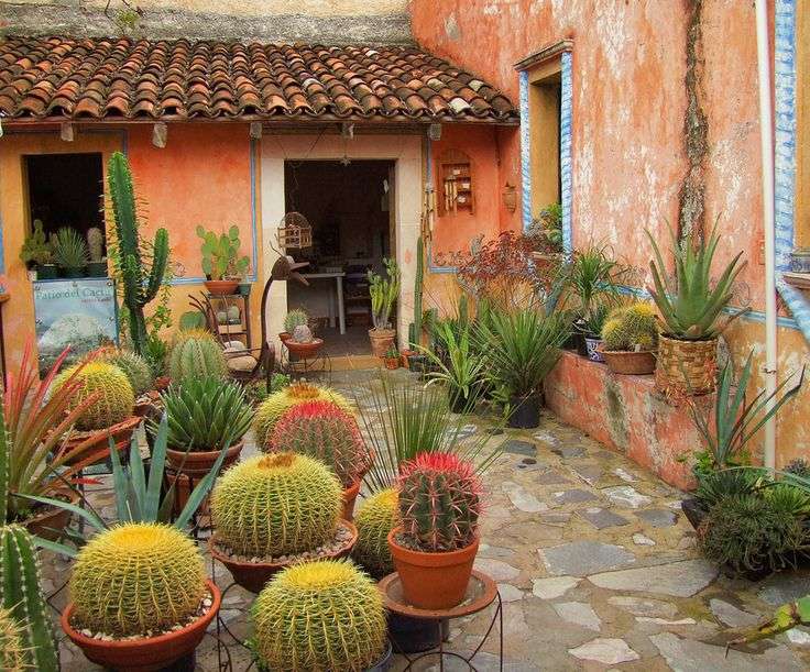 Dom w Meksyku otoczony kaktusami puzzle online