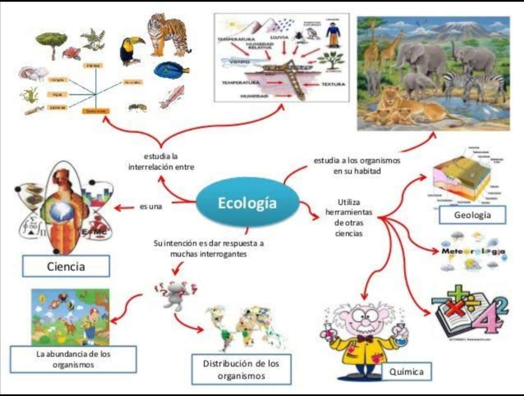 Ekologia puzzle online