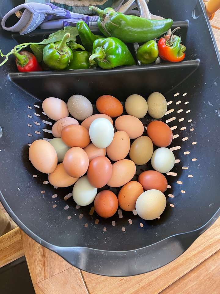 Jajka i warzywa w gospodarstwie puzzle online