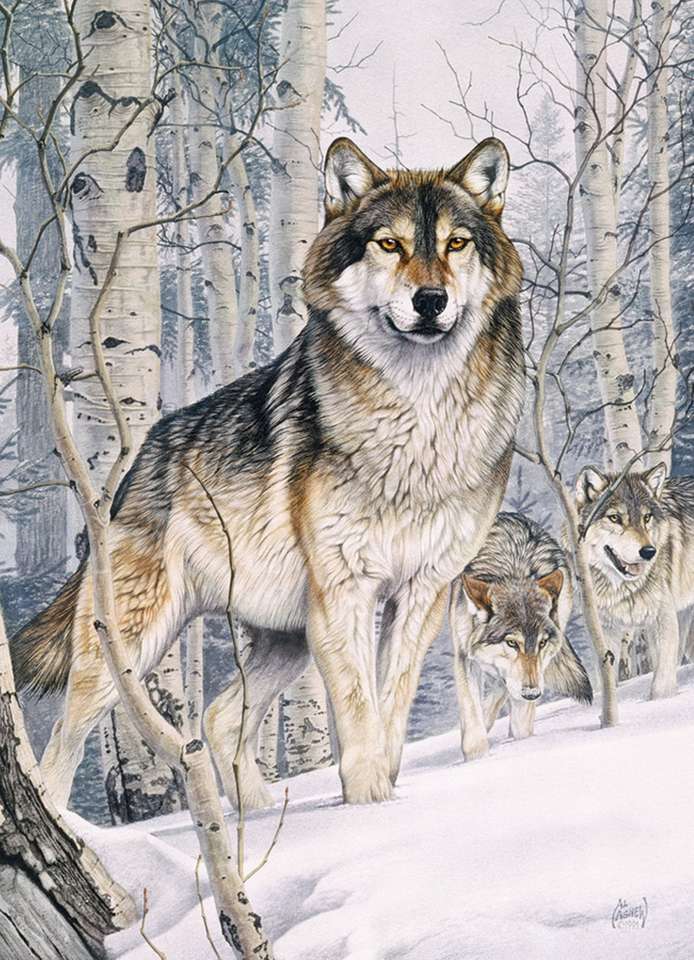 wilki w śniegu puzzle online