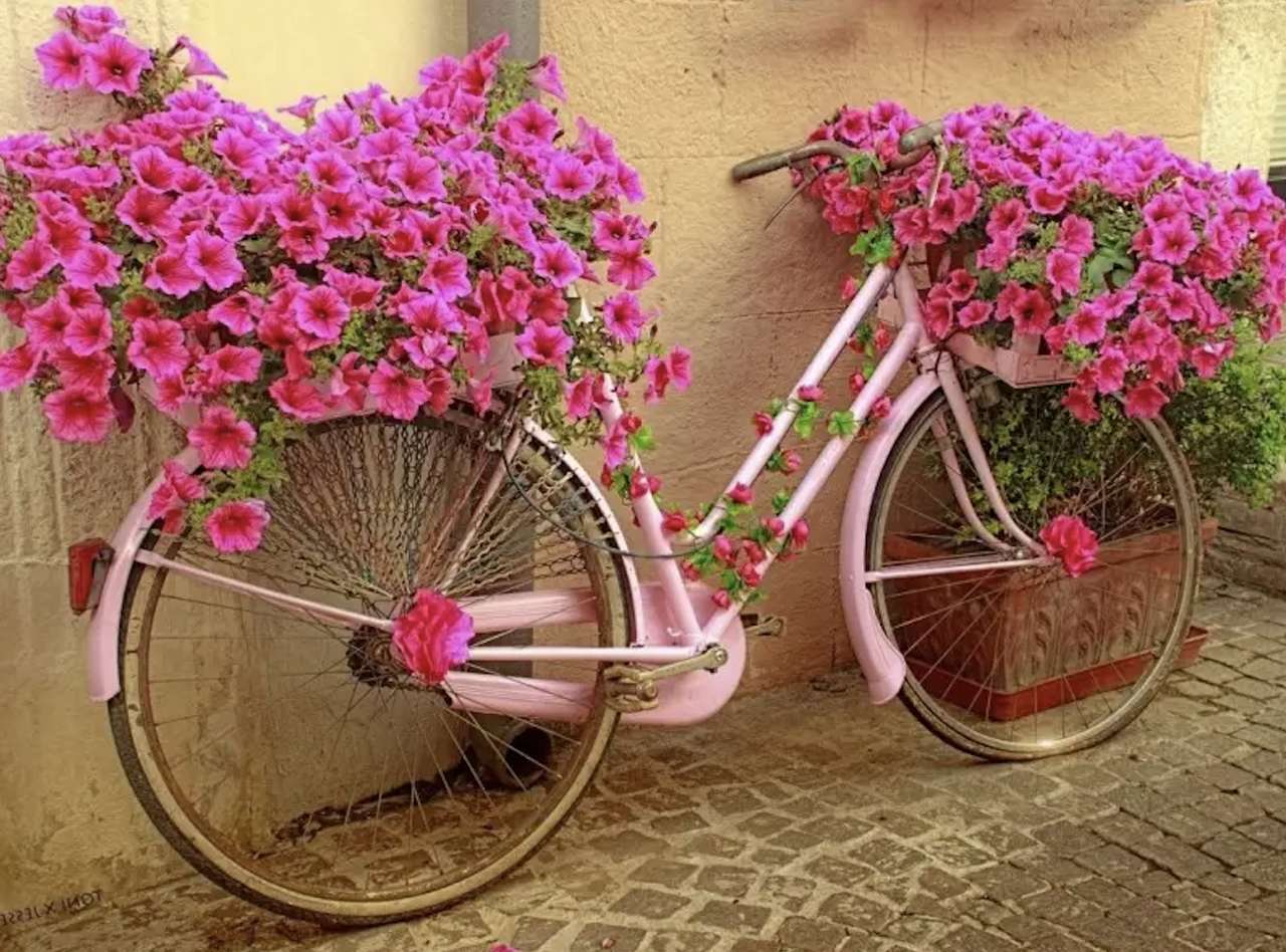 Piękna inspiracja, różowy rowrer i różowe surfinie puzzle online