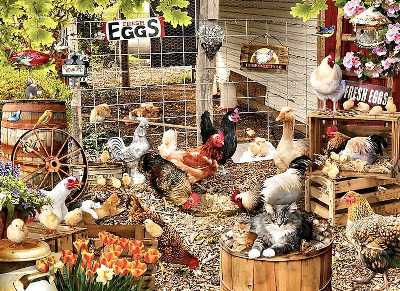 Królestwo kurek i kurczaków, gęsi i kaczek puzzle online