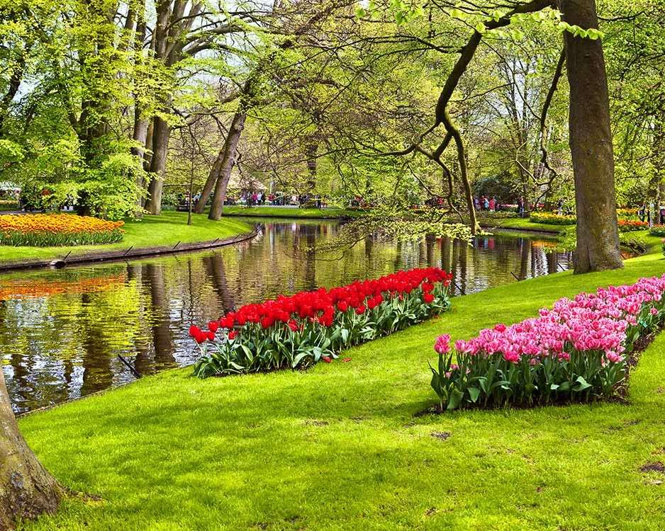 Rabaty tulipanów w parku puzzle online