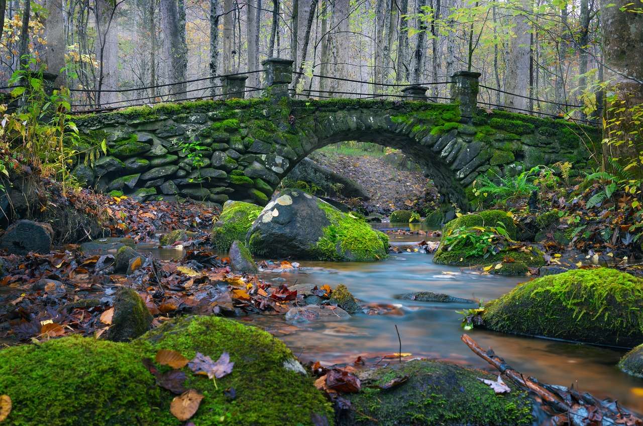 Mostowa rzeka leśna puzzle online