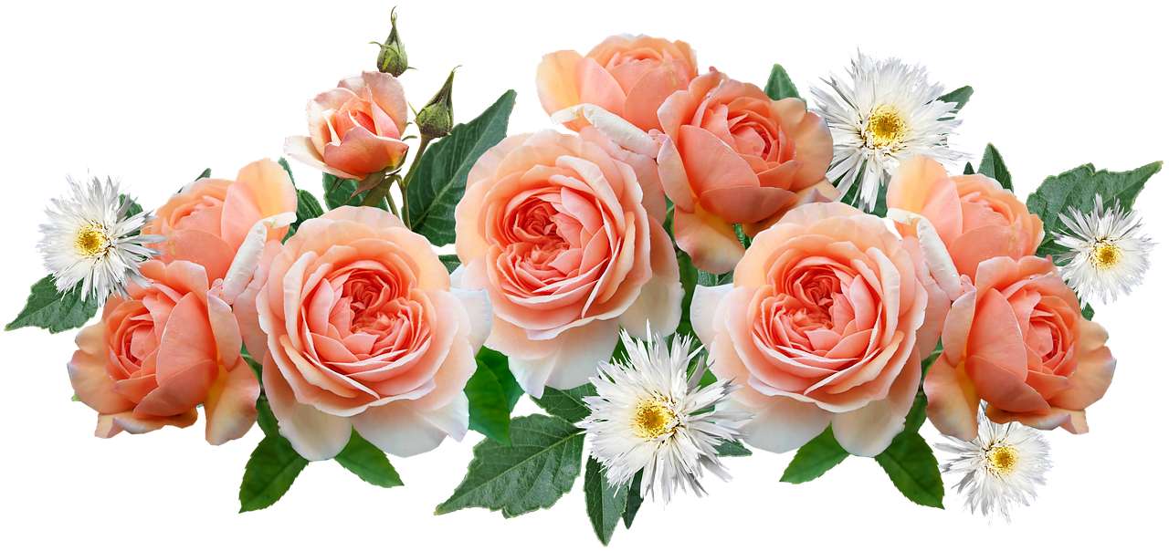 Kwiaty róże puzzle online