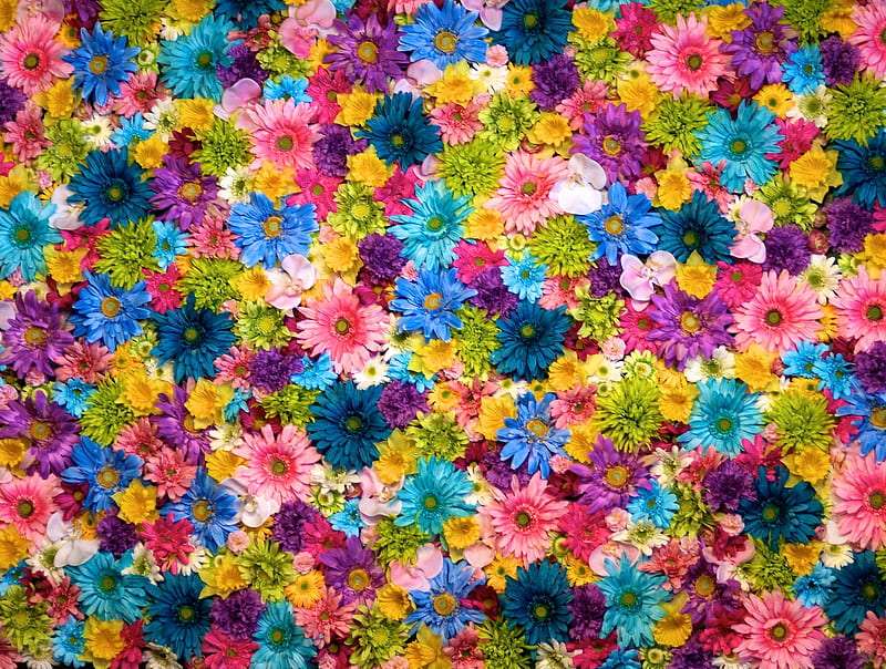 Kwiaty, nie da się ich nie podziwiać:) puzzle online