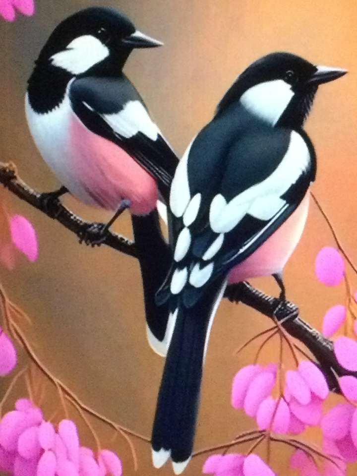 siedzące dwa piękne ptaki puzzle online