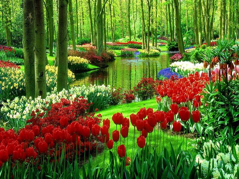 Wiosenne kwiaty w pięknym zielonym parku puzzle online