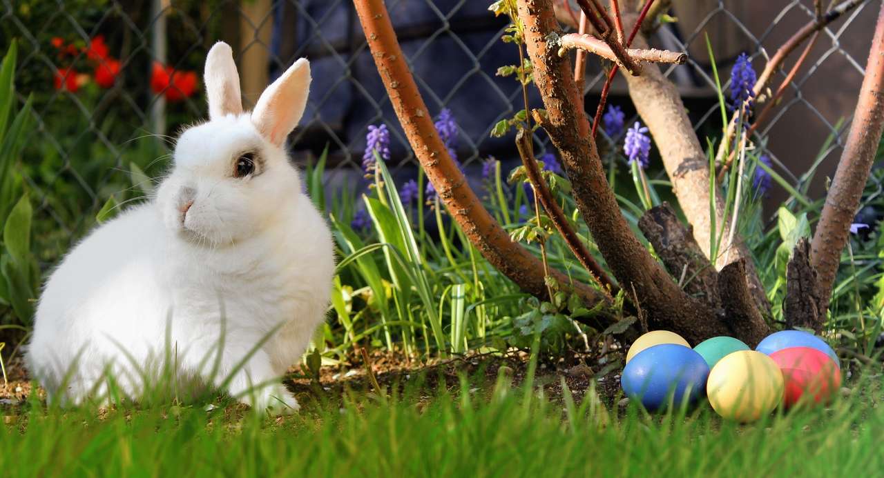 Biały królik, pisanki puzzle online