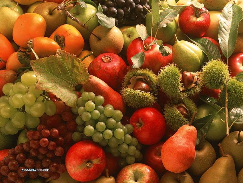 Mieszane owoc ei kasztany jadalne puzzle online