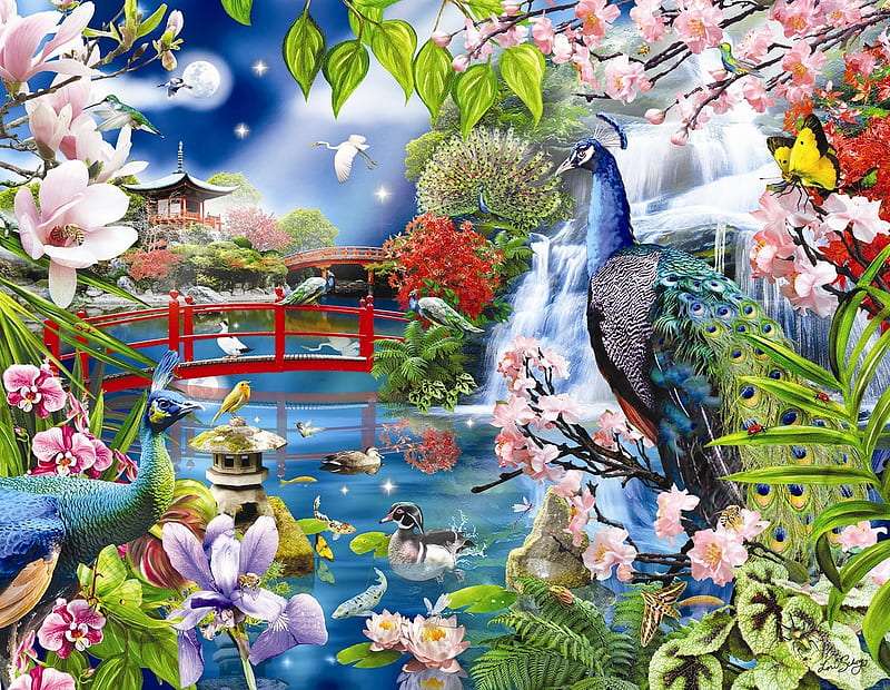 Piękno pawiego ogrodu, co za widok puzzle online