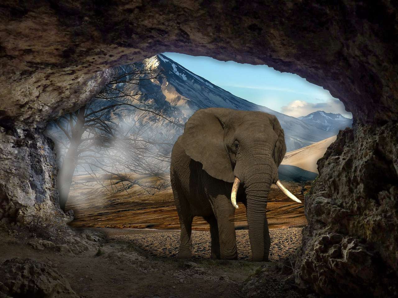 Słoń w jaskini puzzle online